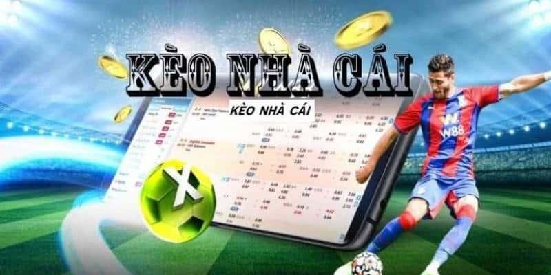 Các loại kèo phổ biến nhất